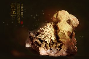 菊花石:读懂需要智慧,读透需要感悟