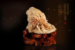 石不能言最可人,大美菊花石